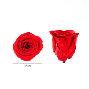 Großhandel 5-6cm natürliche frisch getrocknete Rosen <span class=keywords><strong>B</strong></span> Klasse 6 DIY dekorative Blumen für Muttertag und Valentinstag - Product Image 3