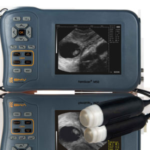 Machine à ultrasons vétérinaire pour le diagnostic précoce de la grossesse chez les truies et les brebis Scanner précis non invasif efficace en mode B - Product Image 1