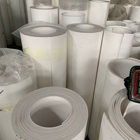 Feuille de PTFE pur de haute qualité 3mm et 4mm d'épaisseur nouveau matériau