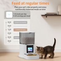 Distributeur intelligent pour chats et chiens, étanche, 6L, double alimentation, microchip, distributeur automatique de nourriture pour animaux de compagnie avec caméra