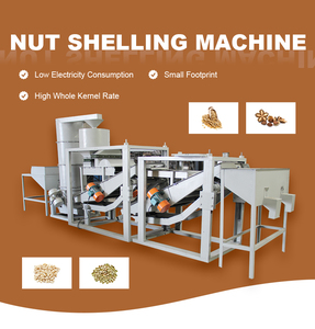 Macchina automatica per la sbucciatura del cono di pino 150kgh <span class=keywords><strong>pinolo</strong></span> Peeling e separazione linea di produzione - Product Image 4