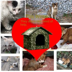 Açık çevre dostu evcil hayvan kafesi su geçirmez çıkarılabilir ve yıkanabilir kedi evi çadır köpek kulübesi ve yastık Mat ile köpekler ve kediler için - Product Image 4