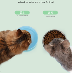 Tigela de Alimentação para Gato e Cachorro em Metal Inoxidável Ecológica com Logo - Product Image 3