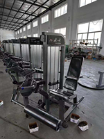 Machine de musculation des jambes SK Commercial 2-en-1 avec extension et flexion assises, charge de 70 kg, équipement de gym à poulies pour la force des jambes