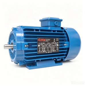 มอเตอร์ไฟฟ้า Elvem 6T390L4 โครงเหล็กหล่อขนาดใหญ่ น้ำหนัก 50 กก. แรงดันไฟฟ้าต่ำกว่า 50V - Product Image 2