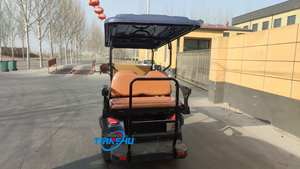 Chariot de <span class=keywords><strong>chasse</strong></span> électrique avec CE DOT - Product Image 3