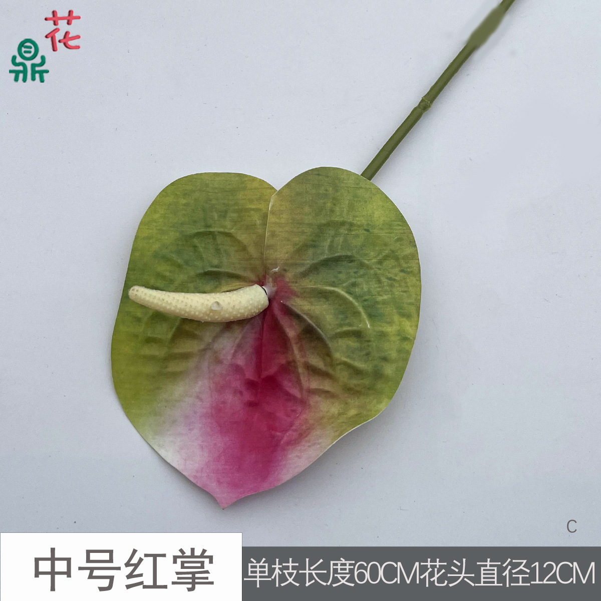 Anthurium rouge moyen C 27 pointe rose vert