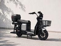 Moto électrique tout-terrain 1000W avec phare LED pour la conduite nocturne, deux-roues électrique