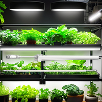 Tubes LED de culture étanches pour élevage de poulets de fruit du dragon, tubes LED UV IR T5 18W à spectre complet pour les plantes