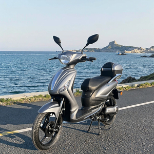 Moped/Scooter électrique pas cher 48V 1000W L1e EEC COC avec batterie au lithium personnalisée pour adultes 40-60 km/h - Product Image 6