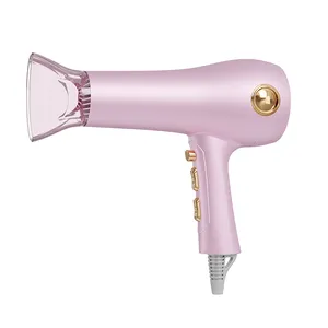 Manufacturer Wholesale DC Motor Salon Equipment Professional Hair Dryer New Blow Custom Hair Dryer