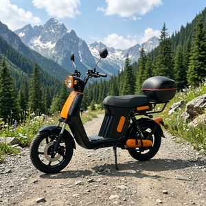 Nouvelle <span class=keywords><strong>moto</strong></span> électrique à grande vitesse de <span class=keywords><strong>800</strong></span> watts 800W 48 volts, <span class=keywords><strong>moto</strong></span> électrique pour adultes, adaptée aux adultes - Product Image 1