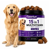 Complément multivitaminé 15-en-1 pour chien : Friandises molles personnalisées OEM avec logo, à base de Glucosamine HCI, pour stimuler l'immunité, nourrir la peau et le pelage
