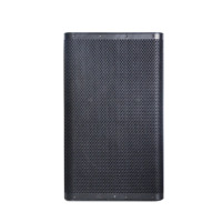 ACC CAU15D3-3.2K Altavoces de 15 Pulgadas y 800 W, Amplificador Clase D para Karaoke, Altavoz Activo Profesional de Audio