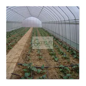 Cubierta de fila para cultivo agrícola, película de Pp, cama elevada de jardín y invernadero de plástico para verduras