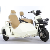 Tricycle Électrique Rétro 2 Places 72V 1000W avec Side-car, Modèle 2026, Vente Chaude, Qualité Supérieure, Moto Électrique à Trois Roues Côte à Côte