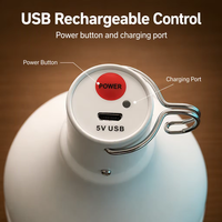 Lampe LED suspendue rechargeable à l'énergie solaire portable 6W, lumière blanche froide 6000K, lampe de secours