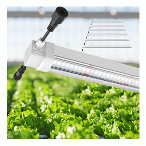 New Square <b>LED</b> Grow Light <b>Tube</b> Customized Spectrum for Plants Vegetable Herb Growth for Vertical Farm Greenhouse Grow Box - Product Image 1
