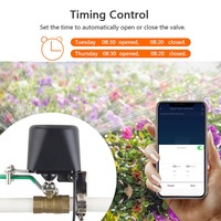 Pengontrol Katup Gas Cerdas Tuya Zigbee Premium, Kontrol Suara Hidup Mati Jarak Jauh, Katup Gas Pintar