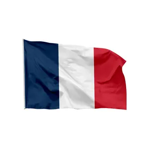 Venda inteira 100% poliéster França bandeira nacional Bandeira francesa janela do carro