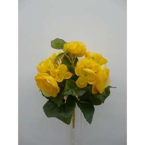 BEGONIA BUSH X5 YL - Product Image 1