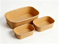 Assiette rectangulaire robuste en canne à sucre compostable, biodégradable, jetable, écologique, résistante à la chaleur et compatible micro-ondes pour les fêtes et la restauration