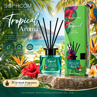 Diffuseur de parfum en verre en gros avec huile parfumée et bâtonnets en rotin naturel pour la décoration de chambre, salle de bain et salon