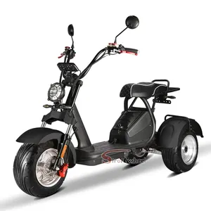 Magazzino ue 3 ruote scooter elettrico citycoco 4000w 60v 40ah batteria chopper elettrico moto triciclo elettrico a tre ruote