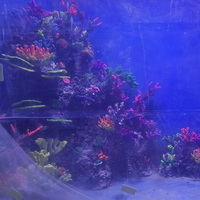 Decoración Artística para Acuarios, Paisajismo para Peceras, Simulación de Arrecife de Coral, Decoración de Paisaje Marino