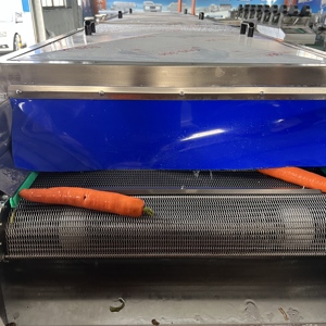 Hoge Output Multifunctionele Sus304 Gember Kurkuma Reinigingswasmachine Voor Plantaardige Verwerking Fabriek Voor Voedselverwerking - Product Image 2