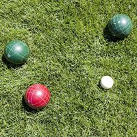 Lot de 8 boules de pétanque argentées Cochonnet, étui de transport pour jeux de pelouse, divertissement sportif, boules en métal