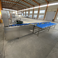 Volautomatische Jujube En Dadels Vruchtensap Siroop Verwerkingslijn Apple Sorteerder Groente Sorteermachine Voor Aardappel