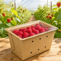 Voedselveilige witte kartonnen fruitverpakking met opdruk, geventileerd, diepe zijkanten, bessenbak, hitteverzegelde deksel, OEM