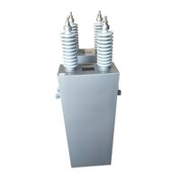 Condensador de Compensación de Potencia de Conexión Paralela HV de 10Kv 100Kvar de Fácil Instalación con Electrolito de Película de Polipropileno