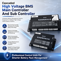 BMS intelligent en cascade 208S EC-HV-MC1+EC-HV-SC12+écran LCD 4,3 pouces pour stockage d'énergie commercial avec CAN RS485