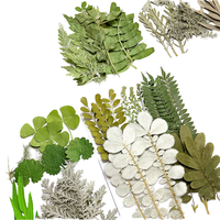 Kit de matériaux de sculpture sur feuilles DIY en lot mixte, fleurs séchées, plantes naturelles pressées, décoration artisanale, fournitures d'art, vente en gros