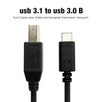 Câble d'imprimante USB-C vers USB-B de 2 m et 1 m, vente directe usine, pour station d'accueil MacBook Pro