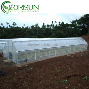 Venta al por mayor Best Seller <span class=keywords><strong>verduras</strong></span> cultivo aro casa verde Túnel de un solo tramo invernadero de plástico con fresa - Product Image 3