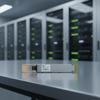 YYGL 400G QSFP-DD VR4 PAM4 850nm OM4 50m DOM Single VCSEL/PIN MPO-12/APC Modul Optik Multimode dengan Garansi 2 Tahun yang Kompatibel