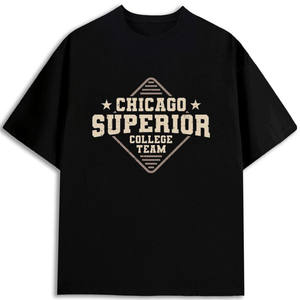 Camiseta del Equipo del Chicago Superior College, Cuello Redondo, Algodón, Corte Regular, 180 g/m², Peso Pesado, para Hombre - Product Image 1