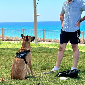 Custom Logo Hondenharnas Vest Id Patch Reflecterende Ademende Verstelbare Huisdier Harnas Designer Hondentuig Outdoor Hond Producten - Product Image 6