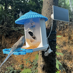 Mangeoire à oiseaux de qualité professionnelle écologique et étanche, parfaite pour le soin des oiseaux et une utilisation en extérieur - Product Image 1