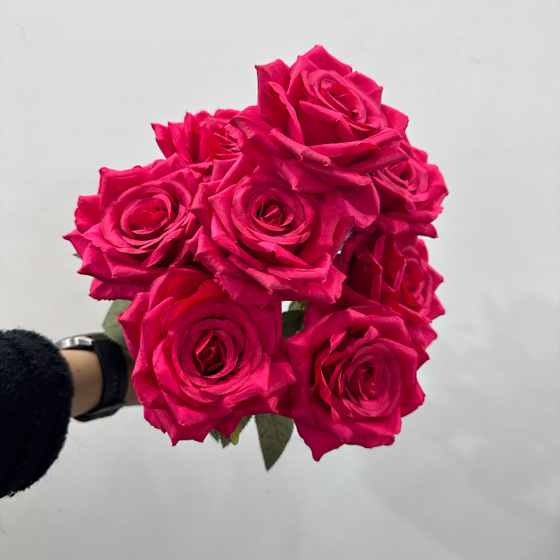 Rose garance