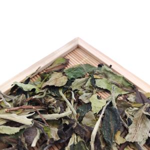 Tè di peonia bianca di alta qualità all'ingrosso tè Pai Mu Dan Standard ue di Fuding Fujian - Product Image 6