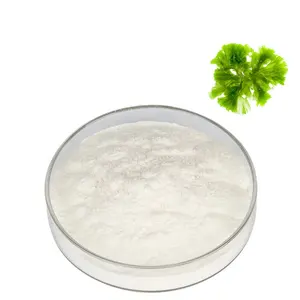 Wholesale DHA Algae Oil Powder EPA 10% DHA Powder