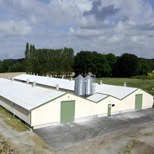 A basso costo struttura prefabbricata in acciaio capannone per polli allevamento di pollame ingrassato.