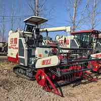 Moissonneuse-batteuse automotrice World 4lz-6.0 avec moteur pour rizières en pente - Haute productivité