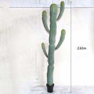 I186 <span class=keywords><strong>Cactus</strong></span> <span class=keywords><strong>Sans</strong></span> Pot Noir Nordique Plante Verte Artificielle Intérieur Salon Fenêtre Décoration - Product Image 4