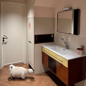 Medieval style bathroom cabinet ceramic basin contrasting color solid wood painted sliding door wash - Product Image 1