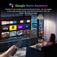 Boîtier décodeur intelligent 4K Android 14 Q1 Mortal personnalisable pour fabricants OEM, Allwinner H313, Wi-Fi double bande 5G, Quad Core, Ethernet, Commande vocale